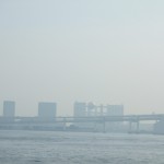 ブログ画像 019 ブログ画像 019