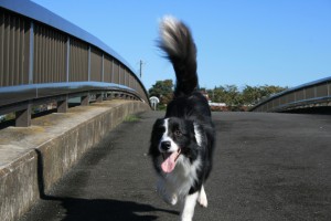 はぐNO7 009 はぐNO7 009