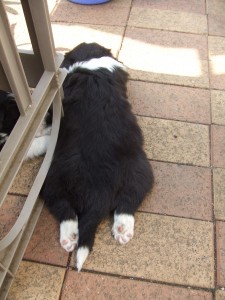 はぐNO8 015 はぐNO8 015