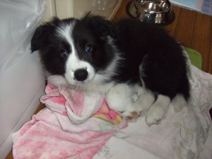 画像 245 画像 245