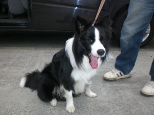 画像NO6.09.05.28 108 画像NO6.09.05.28 108