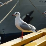 ブログ画像 014 ブログ画像 014