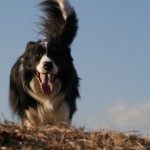 はぐブログ１１．１．31 005