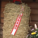 ブログ画像 033 ブログ画像 033