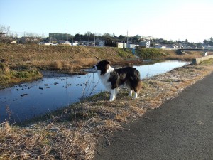 はぐ画像NO10 007 はぐ画像NO10 007