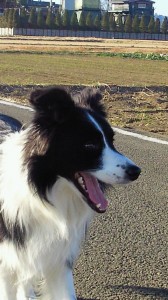 はぐブログ'11.1.8 012