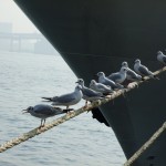 ブログ画像 015 ブログ画像 015