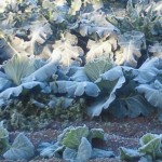 ブログ画像 012 ブログ画像 012