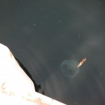 ブログ画像 013 ブログ画像 013