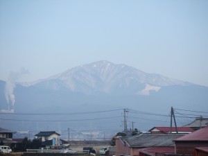 ブログ画像はぐＮＯ１１ 009