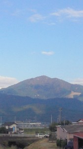 ブログはぐ11.4 007