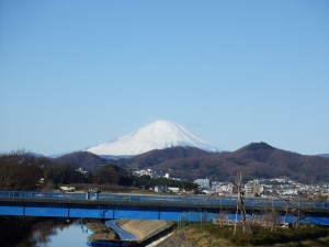 ブログ画像 002 ブログ画像 002