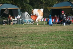 画像NO7 059 画像NO7 059