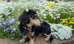 はぐNO7 002 はぐNO7 002